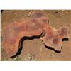 Image 1 : Lychee Tree Slice Cross Section Slab 38" x 34" x 3"