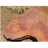 Image 2 : Lychee Tree Slice Cross Section Slab 38" x 34" x 3"