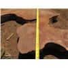 Image 8 : Lychee Tree Slice Cross Section Slab 38" x 34" x 3"