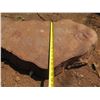 Image 10 : Lychee Tree Slice Cross Section Slab 38" x 28" x 3"