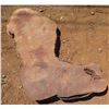 Image 1 : Lychee Tree Slice Cross Section Slab 38" x 28" x 3"