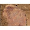 Image 2 : Lychee Tree Slice Cross Section Slab 38" x 28" x 3"