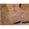 Image 3 : Lychee Tree Slice Cross Section Slab 38" x 28" x 3"