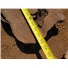 Image 9 : Lychee Tree Slice Cross Section Slab 38" x 28" x 3"