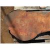 Image 2 : Lychee Tree Slice Cross Section Slab 38" x 27" x 3"
