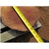 Image 11 : Lychee Tree Slice Cross Section Slab 40" x 17" x 3"