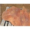 Image 3 : Lychee Tree Slice Cross Section Slab 40" x 17" x 3"