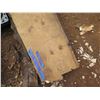 Image 2 : Qty 4 Lengths Norfolk Pine