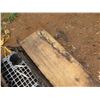 Image 3 : Qty 4 Lengths Norfolk Pine