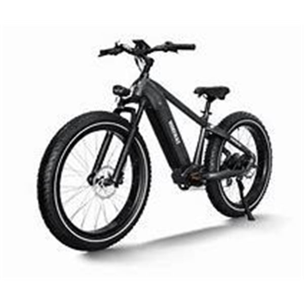 Himiway D5 Zebra Electric Bike