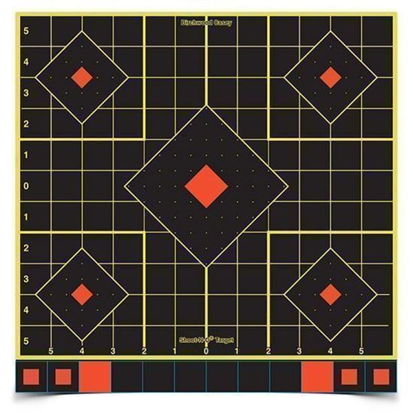BC SHOOT-N-C 12" SIGHT IN TARGET 100PK