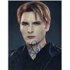 Image 1 : Peter Facinelli signed photo