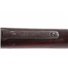 Image 16 : Winchester Model 1906 .22 LR Slide Action Rifle