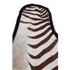 Image 10 : Taxidermy Trophy Zebra Hide Pelt Rug