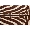 Image 11 : Taxidermy Trophy Zebra Hide Pelt Rug
