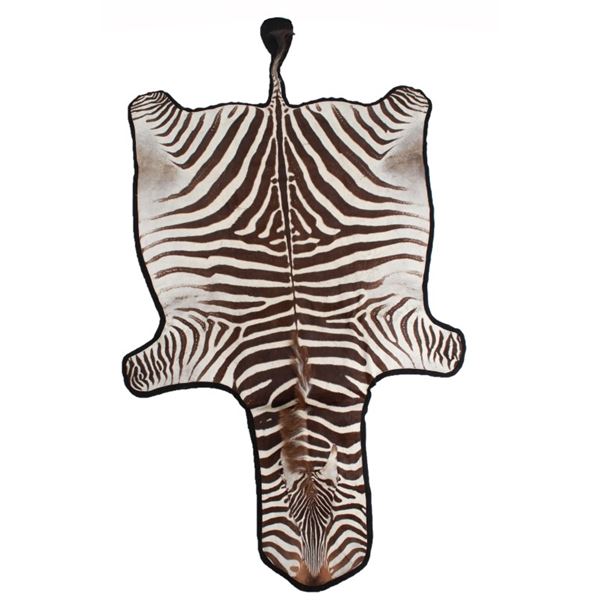 Taxidermy Trophy Zebra Hide Pelt Rug