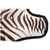 Image 7 : Taxidermy Trophy Zebra Hide Pelt Rug