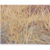 Image 10 : Signed Michael Gentry "Custer's Nemesis", 1992