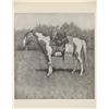 Image 8 : Rare "Done in the Open" Frederic Remington 1902