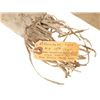 Image 7 : 19th Century Sioux Beaded Bowcase & Quiver