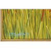 Image 9 : Signed Taylor Oughton, "Evening Mallards" Oil