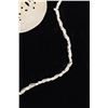 Image 3 : Gorget & Shell Necklace Monroe County, TN 1300 A.D