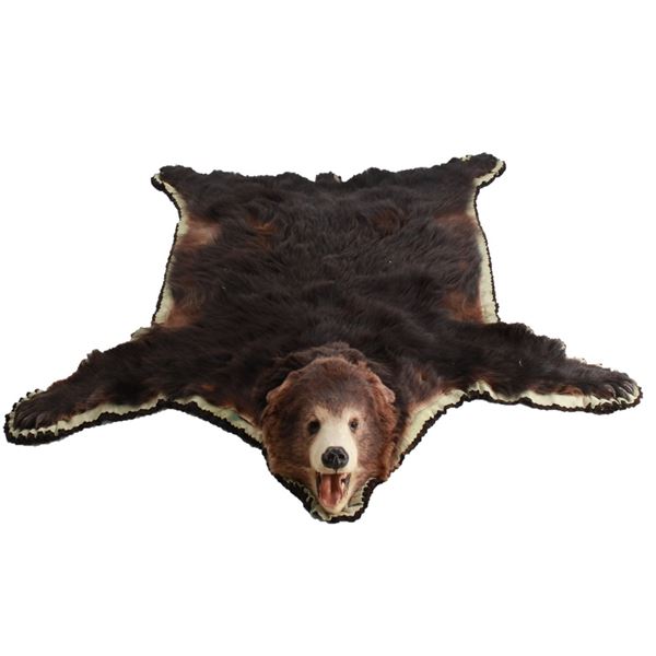 Montana Trophy Taxidermy Black Bear Felted Rug