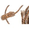 Image 9 : Handmade Four Strand Rawhide Reata c. 1910-1930