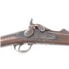 Image 6 : Custer Battlefield U.S. Springfield Model 1873
