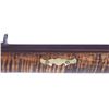 Image 9 : Custom Missouri .50 Caliber Flintlock Rifle