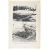 Image 11 : "Yellowstone Geysers" by Clyde Bauer & Jack Haynes