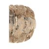 Image 2 : Fossilized Trilobite From The Permian Age