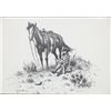 Image 2 : William Rains Matted Print "Tomorrow's Champion"