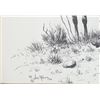 Image 4 : William Rains Matted Print "Tomorrow's Champion"