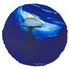 Image 3 : Blue Jellyfish Rising by Wyland Original