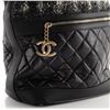 Image 6 : Chanel Casual Style Hobo Tweed and Quilted Aged Calfskin Large Black, Multicolor