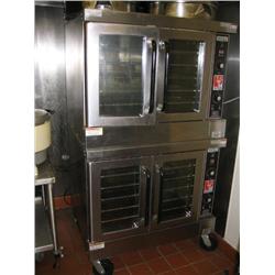Wolf Double Convection Oven