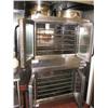 Image 2 : Wolf Double Convection Oven