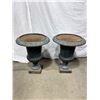 Image 1 : 2 Large Cast Iron Planters
