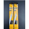 Image 1 : DeWalt 10in Bi-Metal Hacksaw Blades (2 x 2)