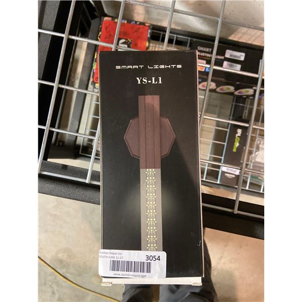 Smart lighting YS-L1 outdoor motion sensor light