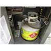 Image 8 : Weber John Deere Spirit Barbeque w/ Tank