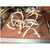Image 1 : (10) Deer Antler Sheds