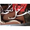 Image 3 : (5) Deer Antler Sheds w/ Milk Crate