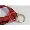Image 2 : Protecta Safety Harness CSDA Approved - Dated 2011