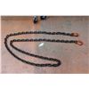 Image 1 : 12' Chain w/Hooks