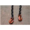 Image 2 : 12' Chain w/Hooks