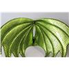 Image 4 : Dragon Mask and Wings Costume