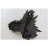 Image 5 : Dragon Mask and Wings Costume
