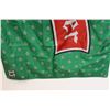 Image 4 : Saskatchewan Roughriders Pilsner Flag - 3ft x 5.5ft